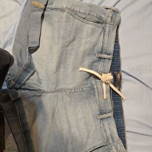 Torrid Light Blue Denim Jean Shorts